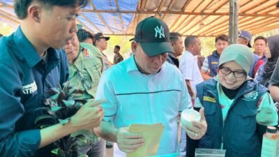 TEP Unhas Paparkan Hasil Riset dan Sampaikan Aspirasi ke Bupati Fakfak