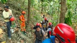 Cari Kayu di Hutan Luwu Timur, Warga 57 Tahun Hilang Kontak, Tim SAR Lakukan Pencarian