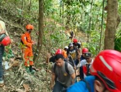 Cari Kayu di Hutan Luwu Timur, Warga 57 Tahun Hilang Kontak, Tim SAR Lakukan Pencarian